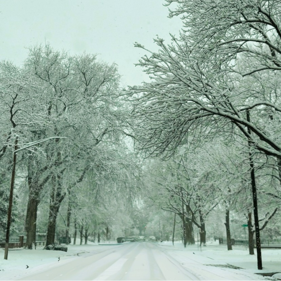 Denver housing market outlook 2025 showing price trends and inventory analysis